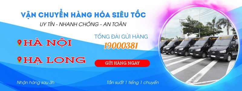 Gửi hàng Hà Nội Hạ Long nhận ngay sau 3h 9 gui-hang-ha-noi-ha-long-nhan-ngay-sau-3h-1